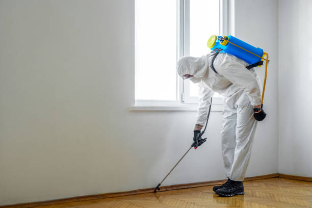 Best Emergency Pest Control  in Boyceville, WI
