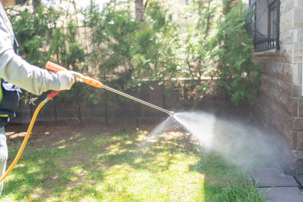 Professional Pest Control in Boyceville, WI
