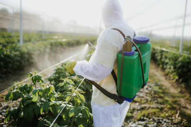 Boyceville, WI Pest Control Company